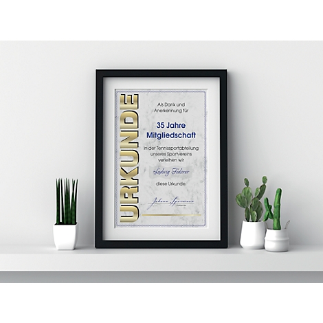 Framed certificate with golden lettering, text: 35 years of membership, is on a white shelf with plants.