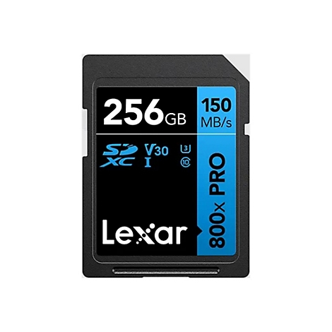 SD-Karte von Lexar. Schwarz mit weißer Schrift: 256 GB, 150 MB/s, 800x PRO. Blaue Details.