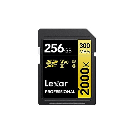 Carte SD noire avec des accents jaunes. Inscription : 256 Go, 300 Mo/s, Lexar PROFESSIONAL.