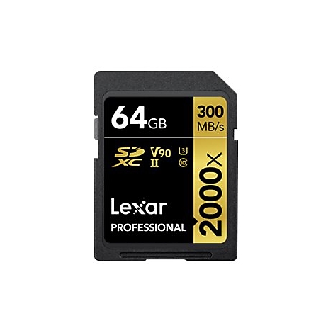 Carte SD noire avec marquages: 64 Go, SDXC, V90, 300 Mo/s, 2000x, Lexar Professional. Sur fond blanc.
