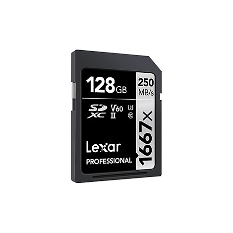 Schwarze Lexar SD-Karte mit 128 GB Kapazität und Geschwindigkeitsangaben. Aufschrift: 'PROFESSIONAL' und '1667x'.