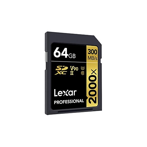 Schwarze SD-Karte mit Aufschrift 64 GB, Lexar Professional. Goldfarbener Streifen mit 300 MB/s und 2000x.