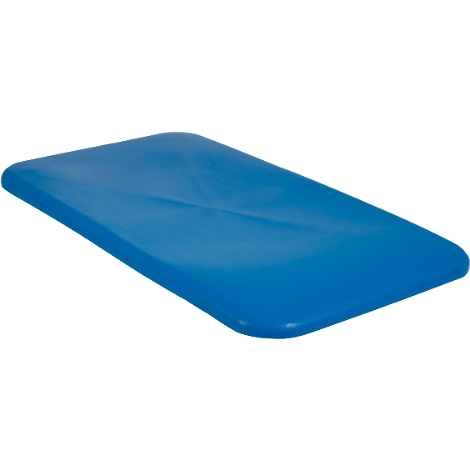 Blue, rectangular plastic balance board. Rounded corners, slight indentation in the middle.