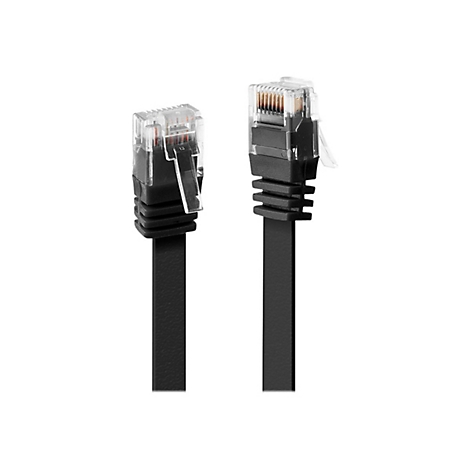 Deux câbles réseau noirs avec des fiches transparentes, sur fond blanc.