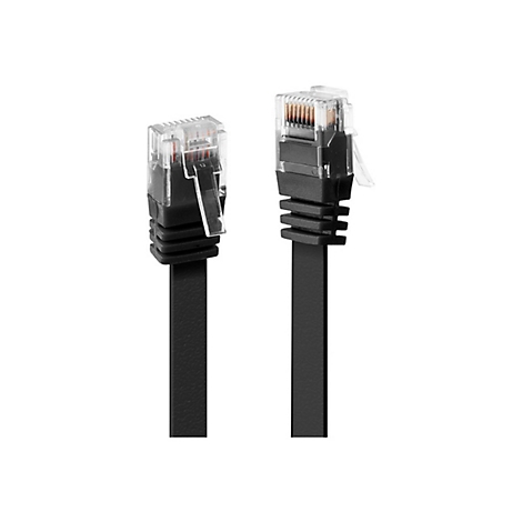 Deux câbles réseau noirs avec connecteurs transparents, sur fond blanc.