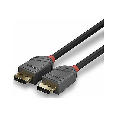 Deux câbles DisplayPort noirs avec des connecteurs gris, des anneaux rouges et des connecteurs plaqués or. Le mot "LINDY" est visible sur les connecteurs.