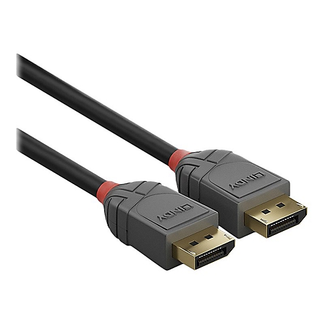 Un câble DisplayPort LINDY noir avec des connecteurs gris, des accents rouges et des connecteurs plaqués or.