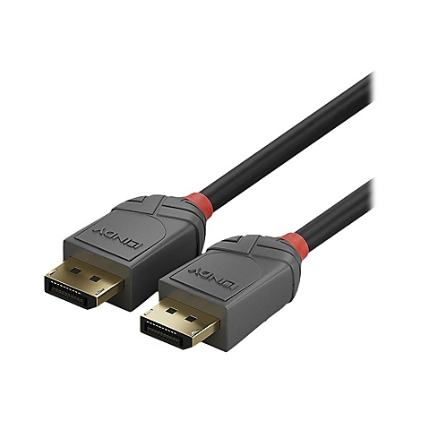 Deux câbles DisplayPort noirs avec des connecteurs gris, des accents rouges et des contacts dorés. 'LINDY' est écrit sur les connecteurs.
