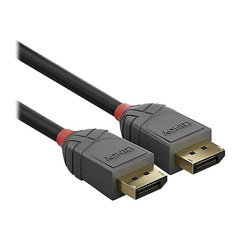 Câble LINDY noir avec connecteurs gris, contacts dorés et couleur d'accentuation rouge. Le câble DisplayPort est en gros plan sur fond blanc.