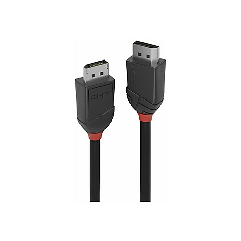 Deux câbles DisplayPort noirs Lindy avec des accents rouges sur fond blanc.