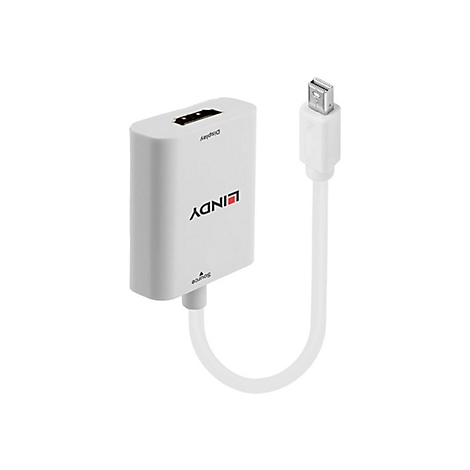 Adaptateur LINDY blanc avec connecteurs HDMI et Mini DisplayPort, étiqueté "Display" et "Source".