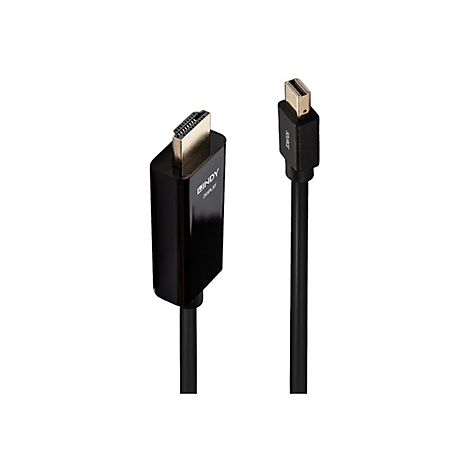 Zwei schwarze HDMI-Kabel mit vergoldeten Anschlüssen, vor weißem Hintergrund. Das eine mit LINDY Display Schriftzug.