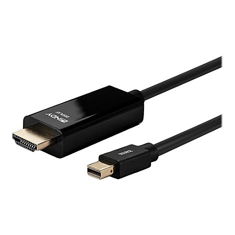 Schwarzes HDMI-Kabel mit 'LINDY DISPLAY' und 'SOURCE'-Text. Goldfarbene Stecker.