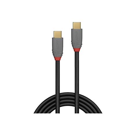 Zwei schwarze USB-C-Kabel nebeneinander mit grauen Anschlüssen, roten Akzenten und goldfarbenen Steckern. Kabel sind gewickelt, weißer Hintergrund.