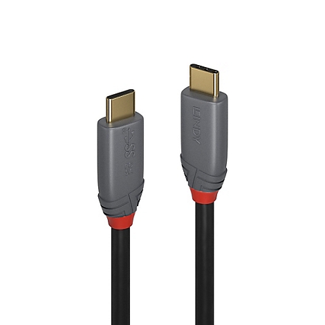 Zwei USB-C-Kabel, grau und schwarz. Die Stecker sind golden, ein Kabel hat einen LINDY-Aufdruck.