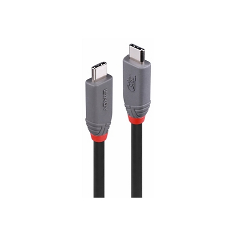 Zwei USB-C-Kabel nebeneinander. Die Stecker sind silberfarben, die Gehäuse grau mit roter Akzentfarbe. Das Lindy-Logo ist auf einem Kabel zu sehen.