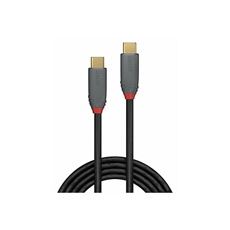 Zwei schwarze USB-C-Kabel nebeneinander, mit grau-roten Steckern und Lindy-Logo. Kabel sind auf weißem Hintergrund.