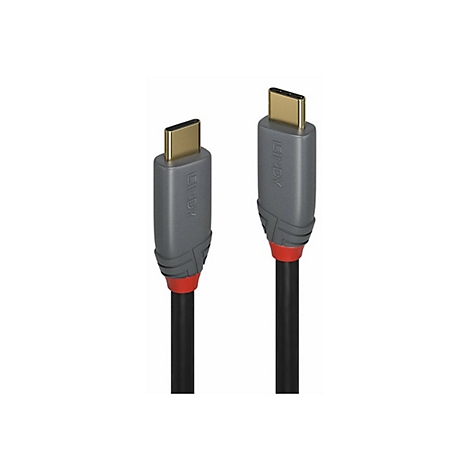 Zwei USB-C-Kabel nebeneinander. Graue Stecker mit goldenen Anschlüssen und roter Akzent am schwarzen Kabel.