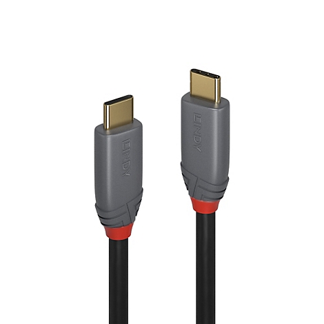 Zwei USB-C-Kabel nebeneinander. Graue Stecker mit rotem Ring und LINDY-Logo, goldfarbene Kontakte.