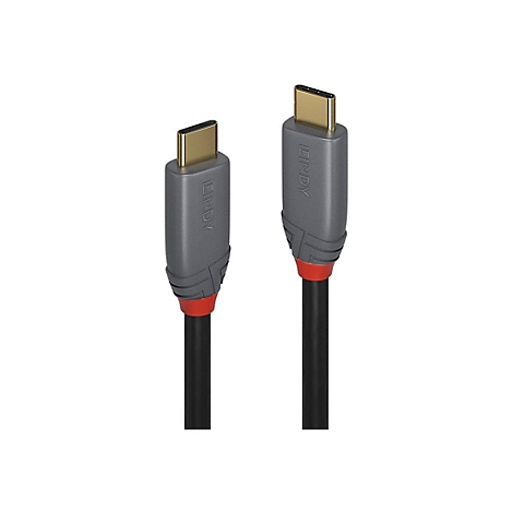 Zwei USB-C-Kabel nebeneinander. Graue Gehäuse mit rotem Akzent, goldfarbener Stecker, schwarzes Kabel. Der Schriftzug 'LINDY' ist sichtbar.