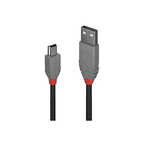 Ein USB-Kabel mit grauen Enden, roter Akzentfarbe und dem Schriftzug "LINDY".