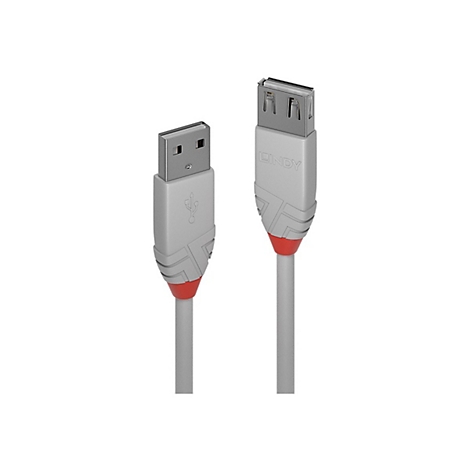 Zwei USB-Kabel mit grauen Gehäusen und roten Akzenten vor weißem Hintergrund. Eines hat einen USB-A-Stecker, das andere USB-B. Die Marke ist Lindy.