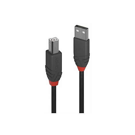 Schwarzes USB-Kabel mit roten Akzenten und LINDY-Logo. USB-A- und USB-B-Stecker.