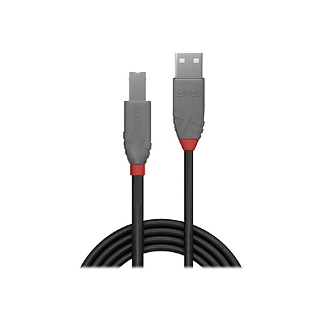 Schwarzes USB-Kabel mit grauen Enden, roter Akzent. Auf einem Ende steht „LINDY“.