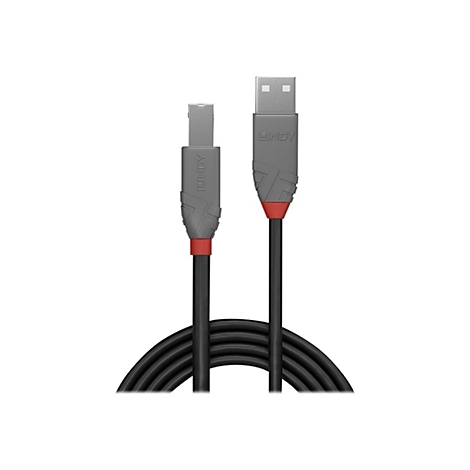USB-Kabel, schwarz, mit grauen Steckern, rotem Akzent, Marke Lindy.