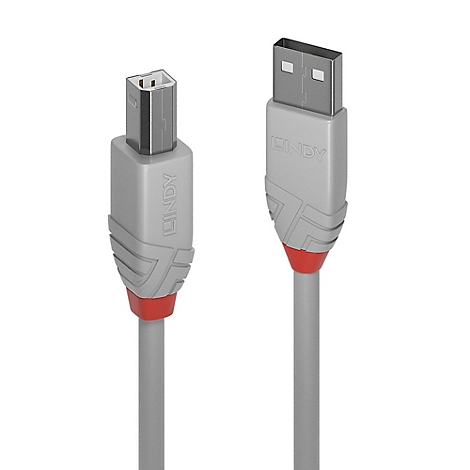 Ein graues USB-Kabel von LINDY, links Stecker Typ B, rechts Typ A. Roter Akzent am Übergang zum Kabel.