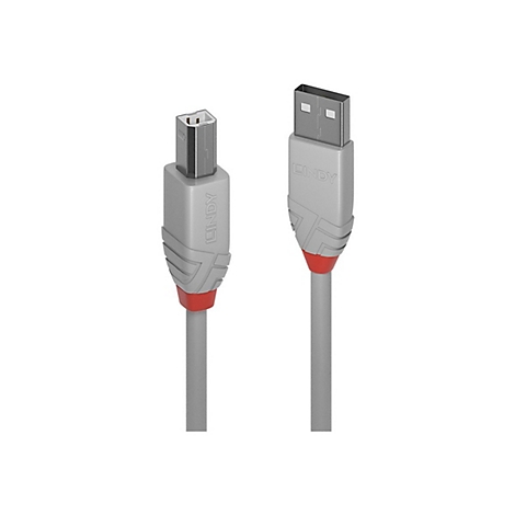 Zwei graue USB-Kabel mit roten Akzenten. Beide mit dem Logo "LINDY". Eines ist USB-A, das andere USB-B.