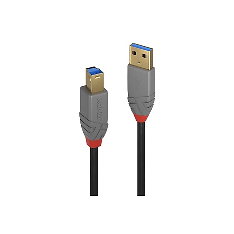 Zwei schwarze USB-Kabel mit grauen und roten Akzenten. Ein Stecker mit blauer Öffnung.