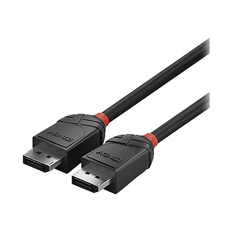Deux câbles DisplayPort noirs avec des accents rouges. Le connecteur porte la mention "LINDY".