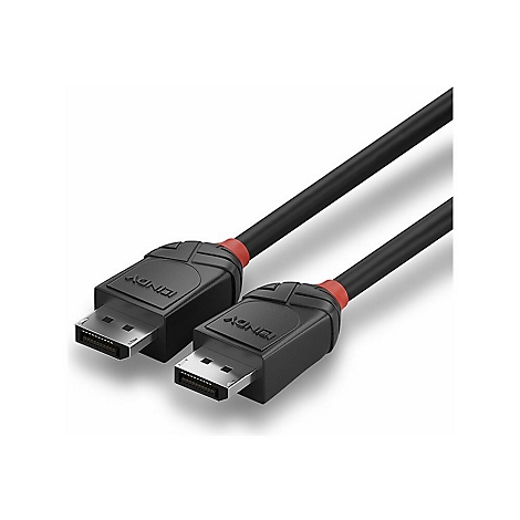 Deux câbles DisplayPort noirs avec des accents rouges. Les connecteurs montrent le logo LINDY et les connecteurs DisplayPort.