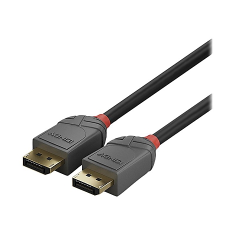 Deux câbles DisplayPort noirs avec des connecteurs gris avec le mot "LINDY". Les connecteurs ont des anneaux rouges.