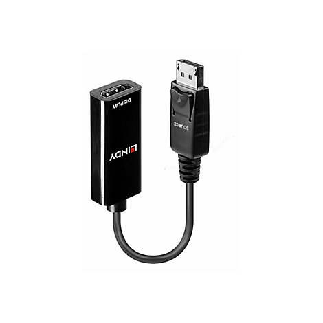 Schwarzer DisplayPort-Adapter mit Display- und Source-Kennzeichnung. Lindy-Logo ist zu sehen.