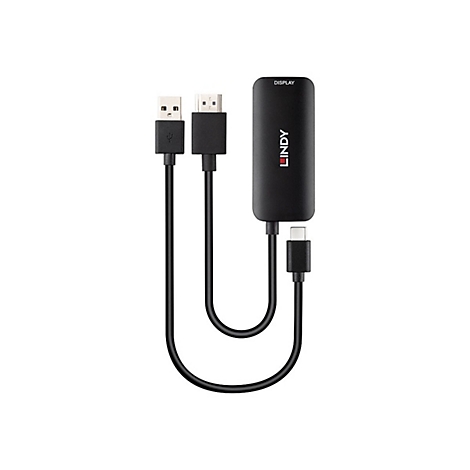 Schwarzer Lindy Display Adapter, USB-A auf HDMI und USB-C.