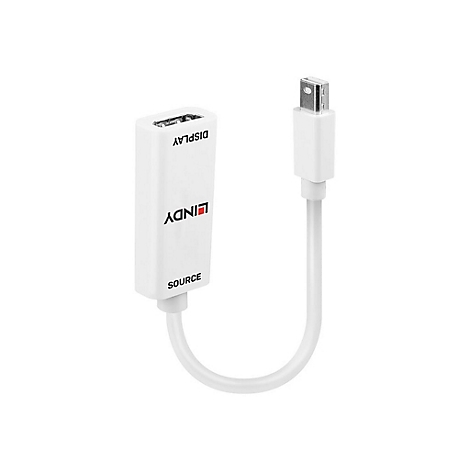 Weißer Adapter mit den Aufschriften 'LINDY', 'DISPLAY' und 'SOURCE'.