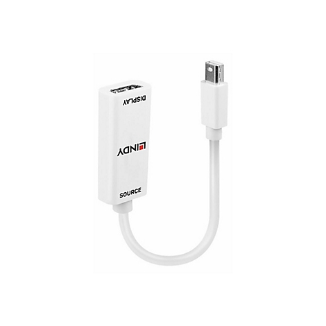 Weißer Adapter mit 'LINDY' Aufdruck. Beschriftung: 'DISPLAY' und 'SOURCE'.