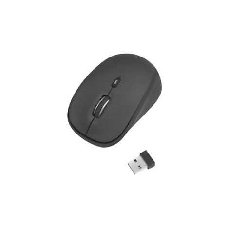 Drahtlose, graue Computermaus und USB-EmpfÃ¤nger. Auf weiÃŸem Hintergrund.