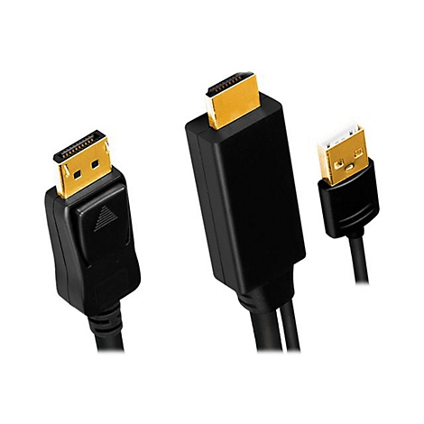 DisplayPort- und HDMI-Kabelstecker mit schwarzen Kunststoffgehäusen und goldfarbenen Anschlüssen vor weißem Hintergrund.
