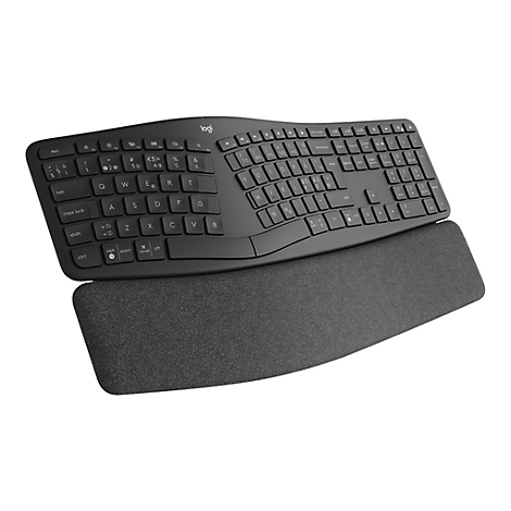 Schwarze ergonomische Tastatur mit Handgelenkauflage. Tastatur-Layout und Logo erkennbar.