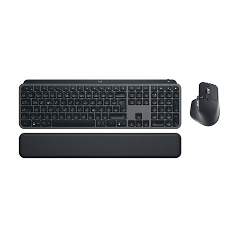 Dunkelgraue Tastatur, Maus und Handballenauflage, vor weißem Hintergrund. Logo "Logi".