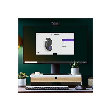 Un Ã©cran affiche un logiciel avec une souris. Sur le bureau, il y a un clavier, une souris et des plantes.