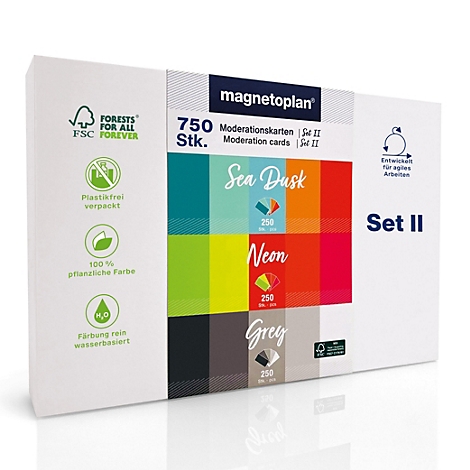 Weiße Box mit 750 Magnetoplan Moderationskarten, unterteilt in Sea Dusk, Neon und Grey Farben.