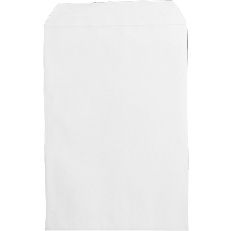 A white envelope, standing upright, with a flap at the top.