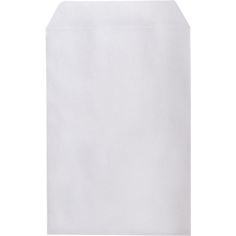A white paper bag envelope. The top is slightly rounded.