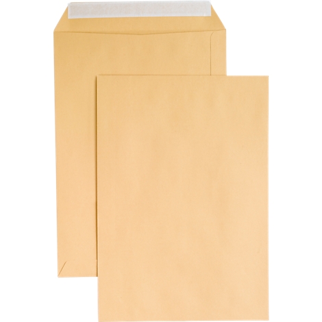 Two brown envelopes, one slightly open with white lining.