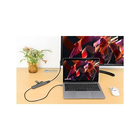 Laptop mit Monitor, Maus und USB-C-Hub. Auf dem Bildschirm ist ein farbenfrohes Bild zu sehen. Auf dem Hub steht "4K@60Hz".
