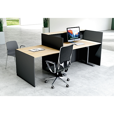 Kantoor met twee bureaus, een computer, stoelen, scheidingswanden en decoratieve planten.